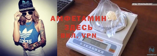 амф Приозерск