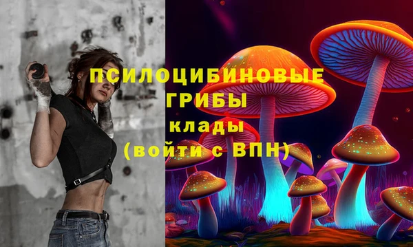 амф Приозерск
